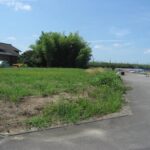新潟市南区大郷　売地 画像3